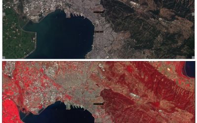 View, search, download services for Copernicus satellite data via standardized web services for the Municipality of Thessaloniki