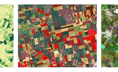 Seminar “Cropland mapping from free multi-temporal satellite images”